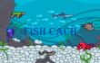 Fish Cach img