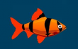 Franky the Fish 2 Franky the Fish 2 img