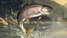 Sea Fishing Tropical img