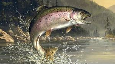 Sea Fishing Tropical Sea Fishing Tropical img